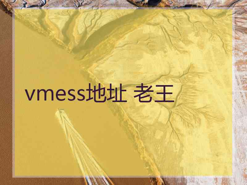 vmess地址 老王