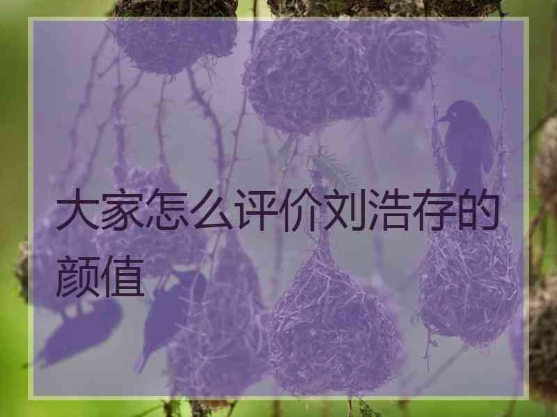 大家怎么评价刘浩存的颜值