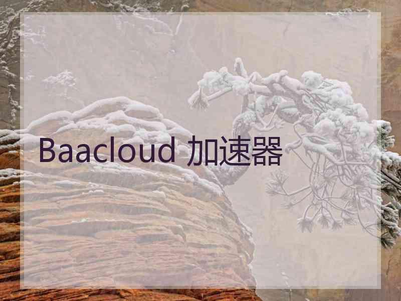 Baacloud 加速器