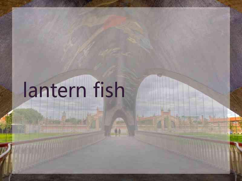 lantern fish