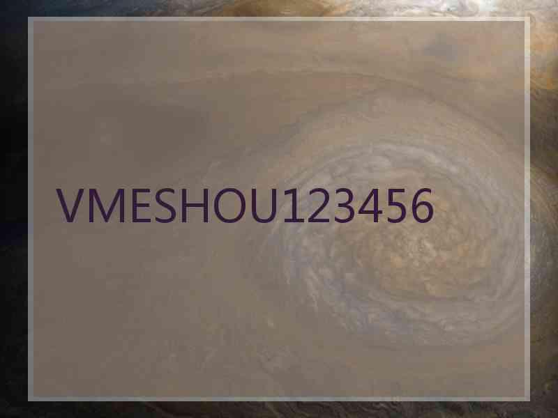 VMESHOU123456