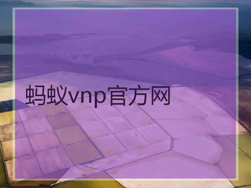 蚂蚁vnp官方网