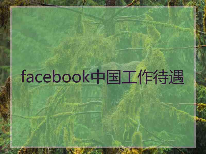 facebook中国工作待遇