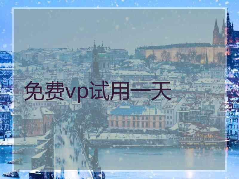免费vp试用一天