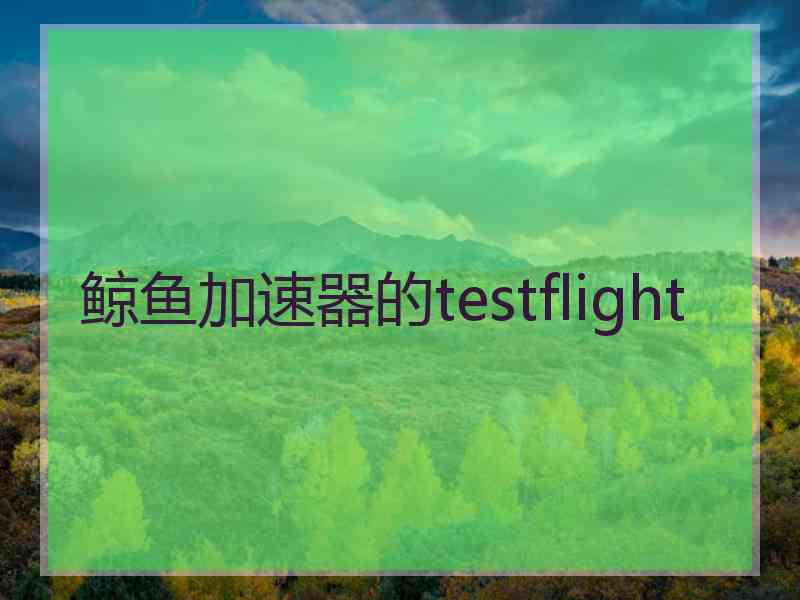 鲸鱼加速器的testflight