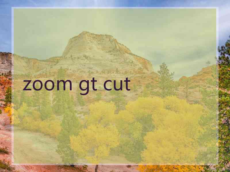 zoom gt cut