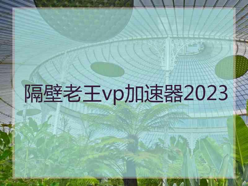 隔壁老王vp加速器2023