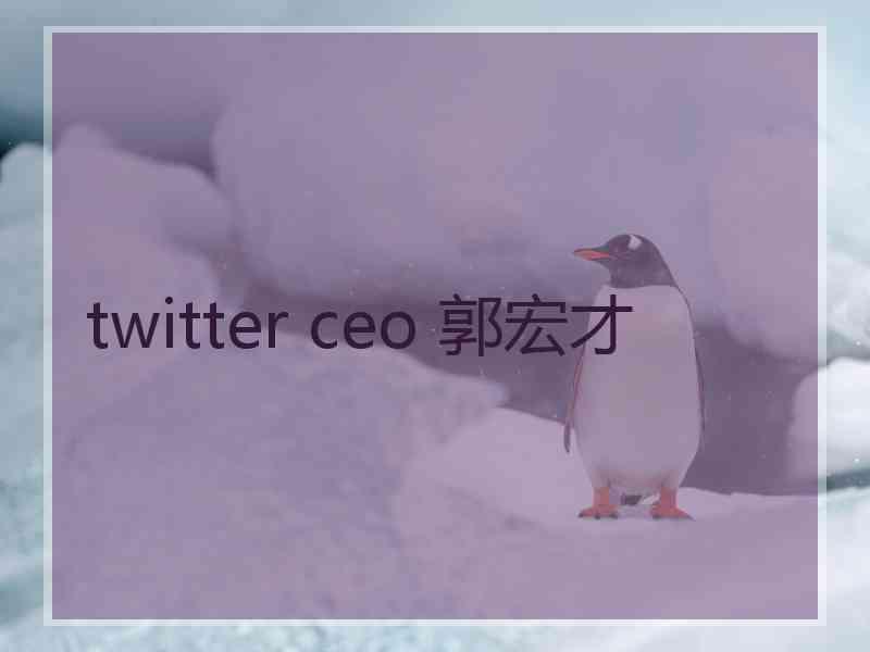 twitter ceo 郭宏才