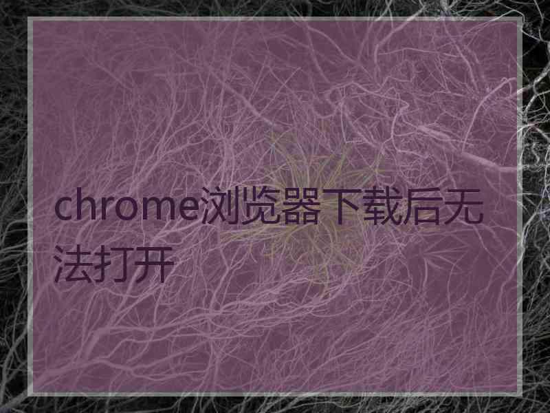 chrome浏览器下载后无法打开