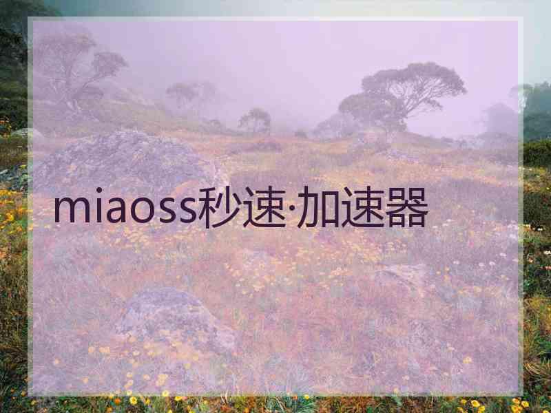 miaoss秒速·加速器