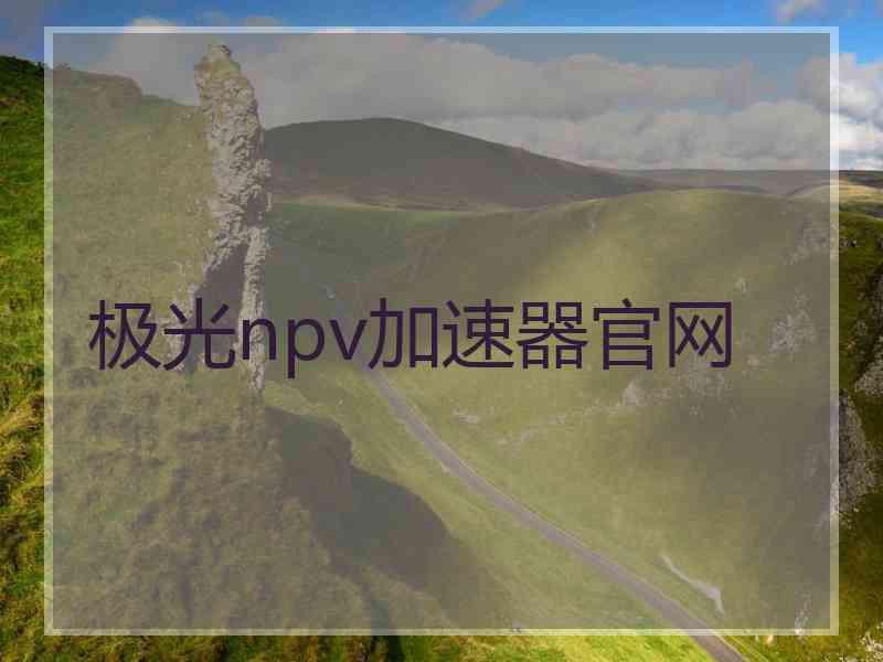 极光npv加速器官网