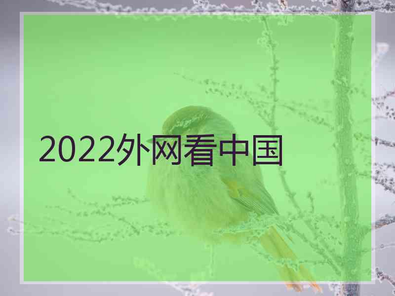2022外网看中国