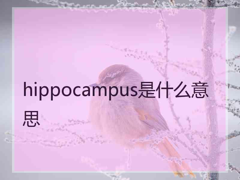 hippocampus是什么意思