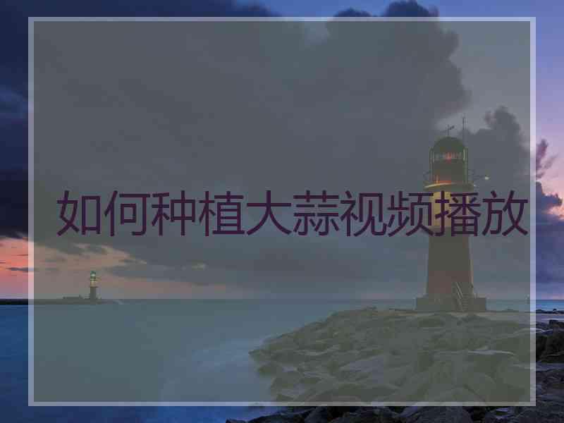 如何种植大蒜视频播放