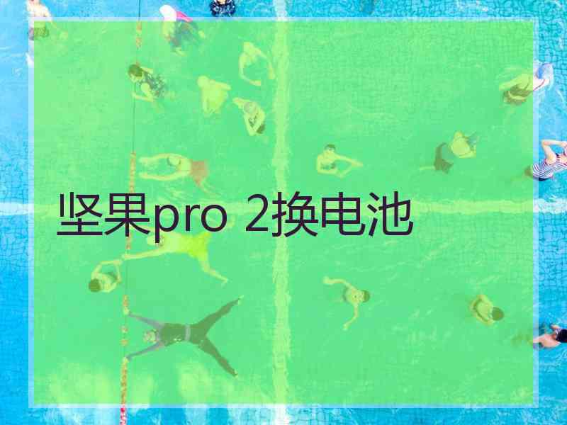 坚果pro 2换电池