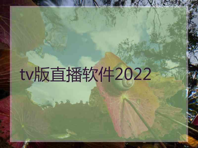 tv版直播软件2022