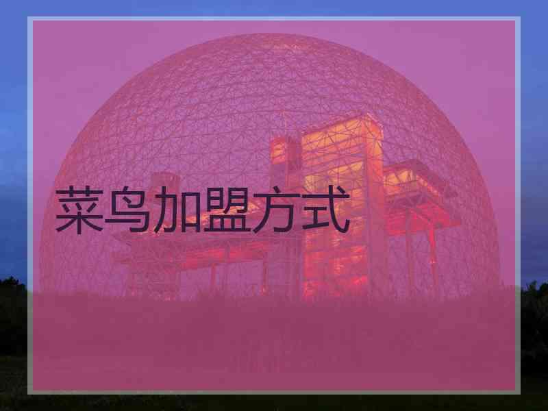 菜鸟加盟方式