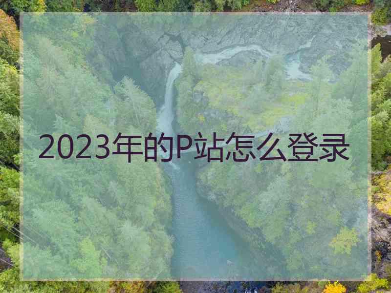 2023年的P站怎么登录