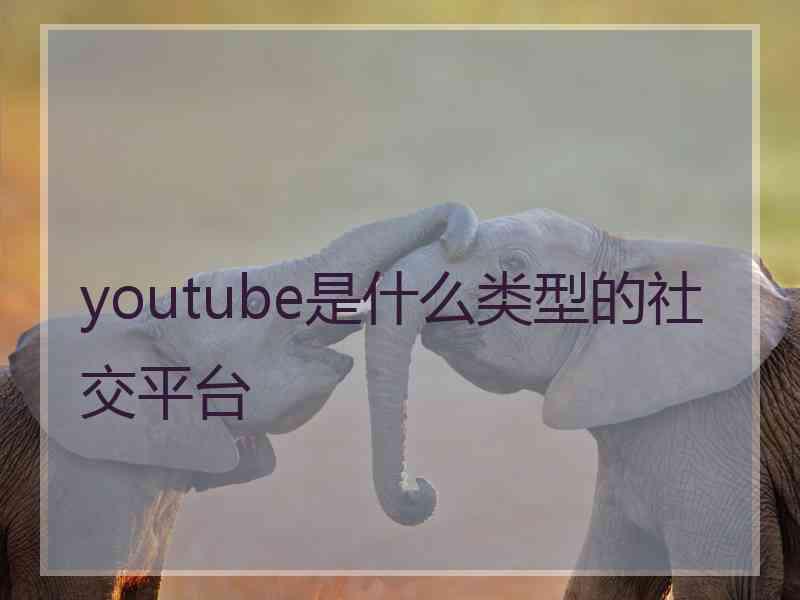 youtube是什么类型的社交平台