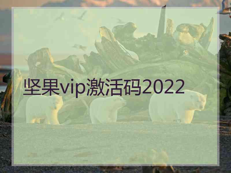 坚果vip激活码2022