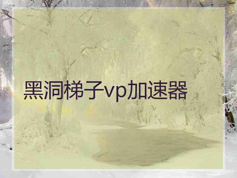 黑洞梯子vp加速器