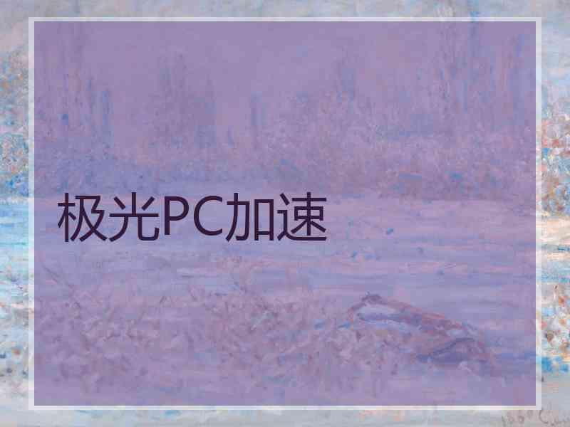 极光PC加速
