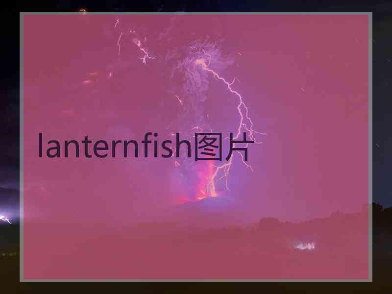 lanternfish图片