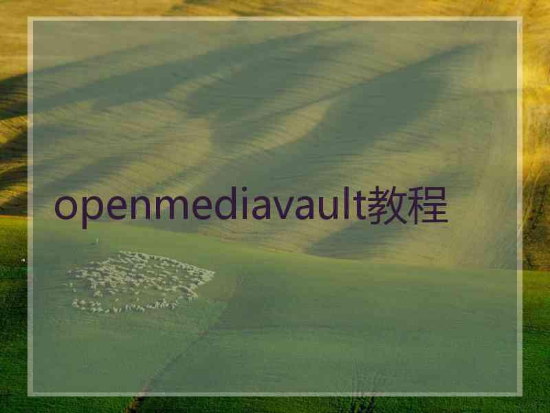 openmediavault教程