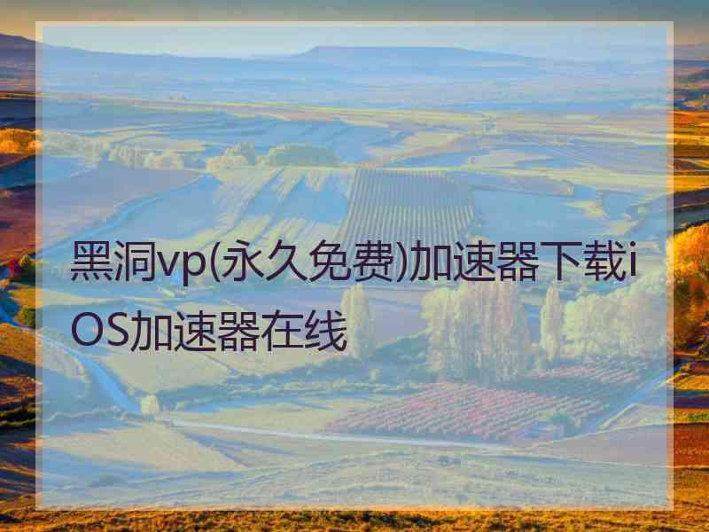 黑洞vp(永久免费)加速器下载iOS加速器在线