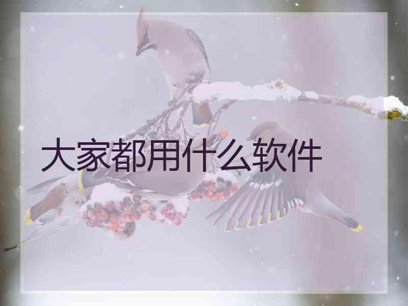 大家都用什么软件