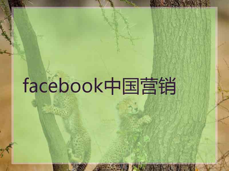 facebook中国营销