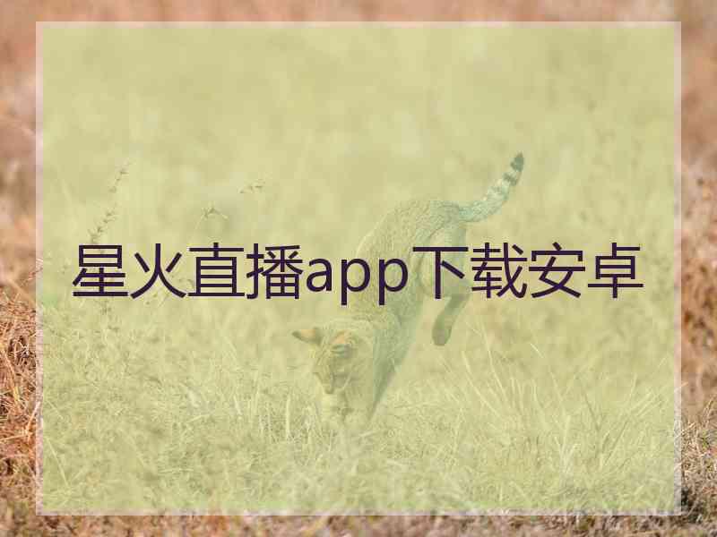星火直播app下载安卓
