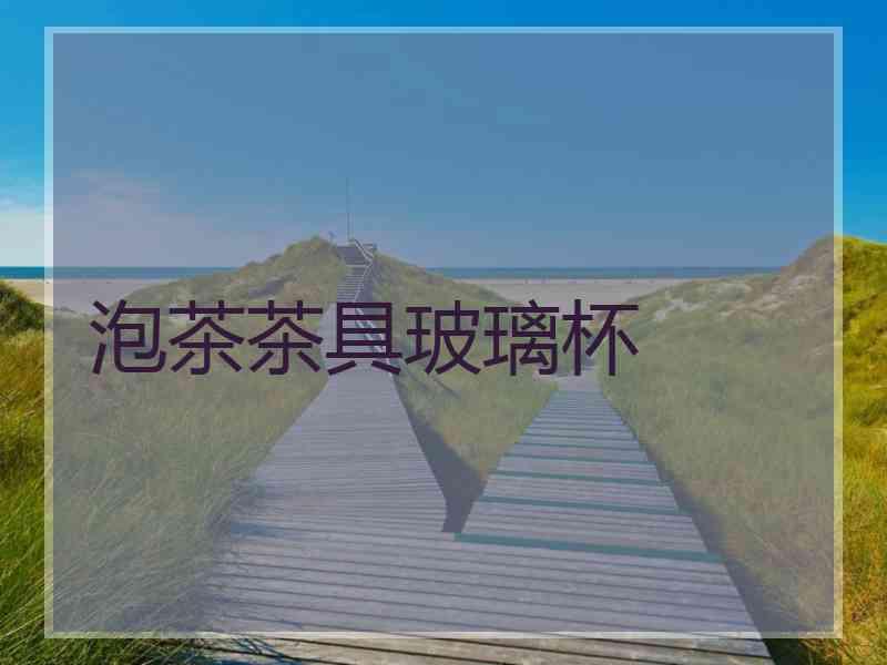 泡茶茶具玻璃杯