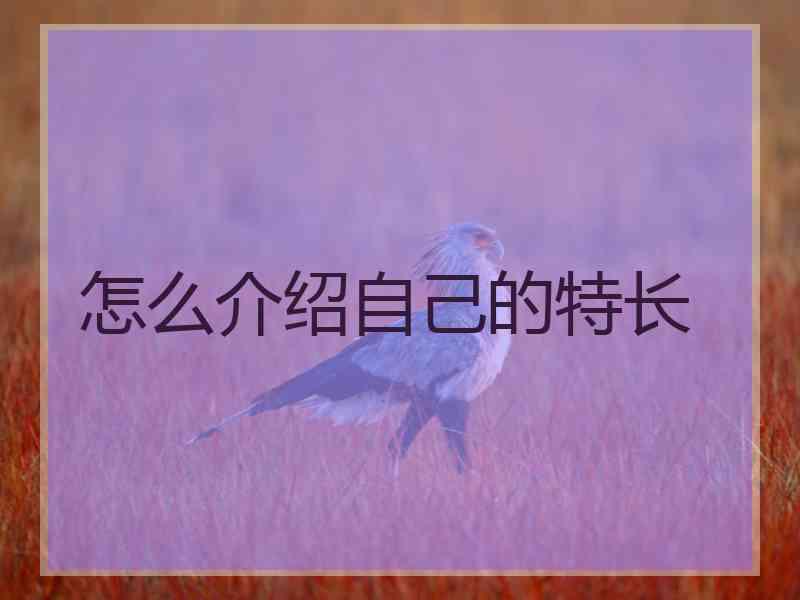 怎么介绍自己的特长