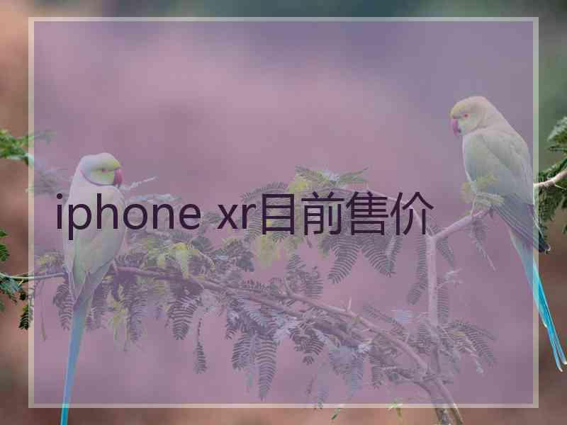 iphone xr目前售价