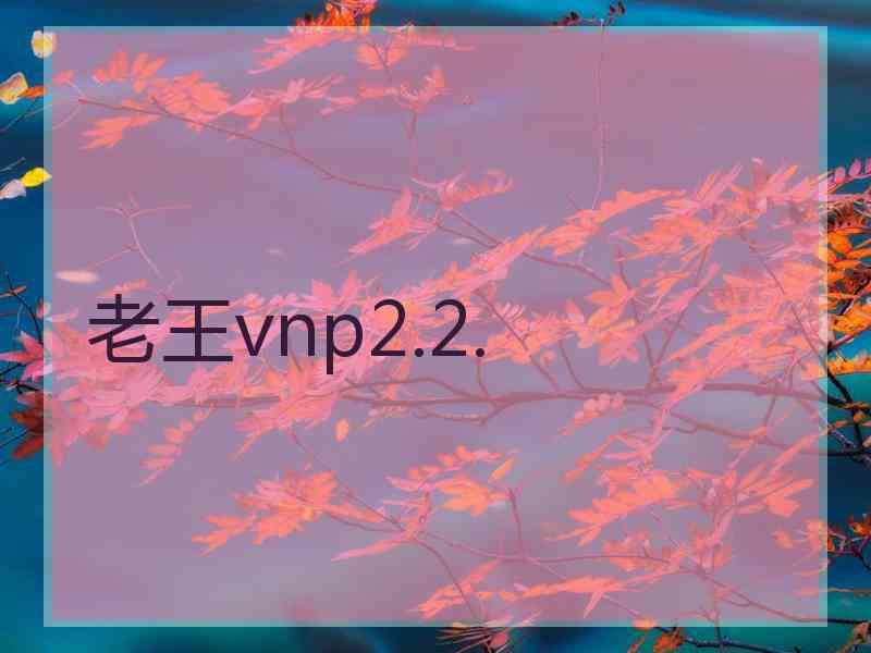 老王vnp2.2.