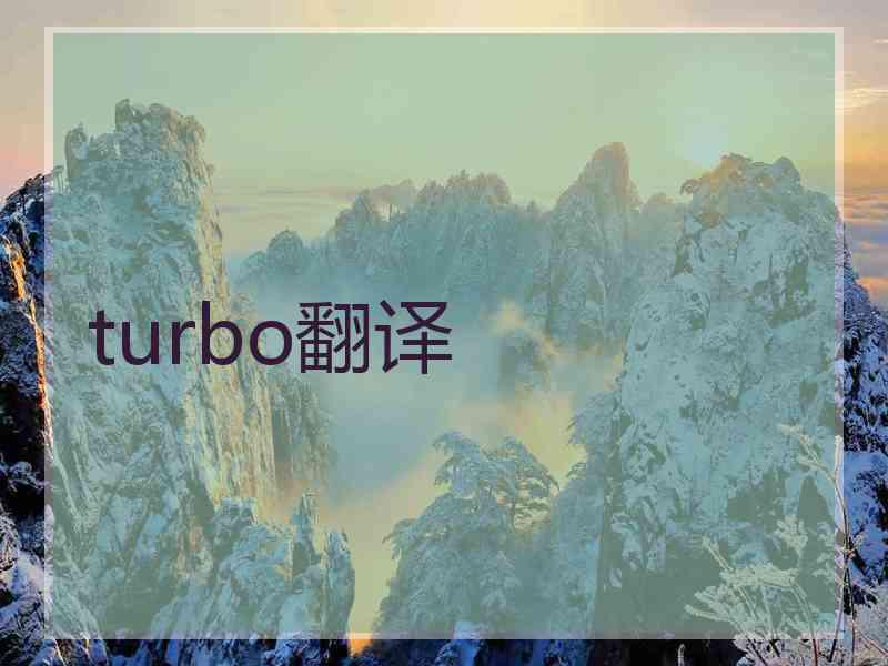 turbo翻译