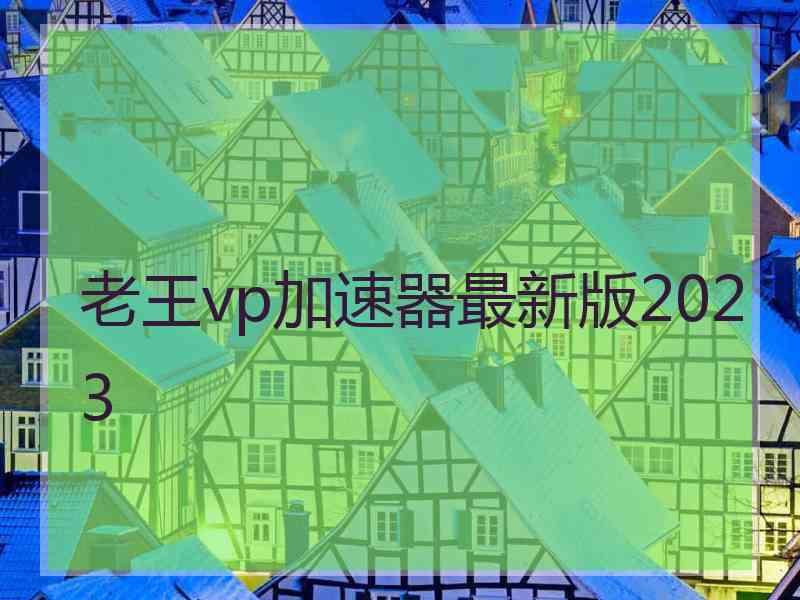 老王vp加速器最新版2023