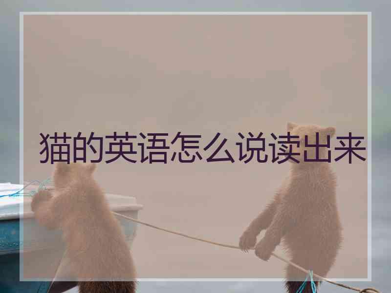 猫的英语怎么说读出来