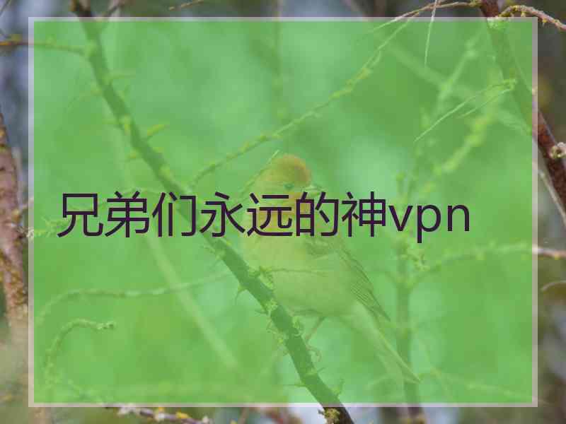 兄弟们永远的神vpn