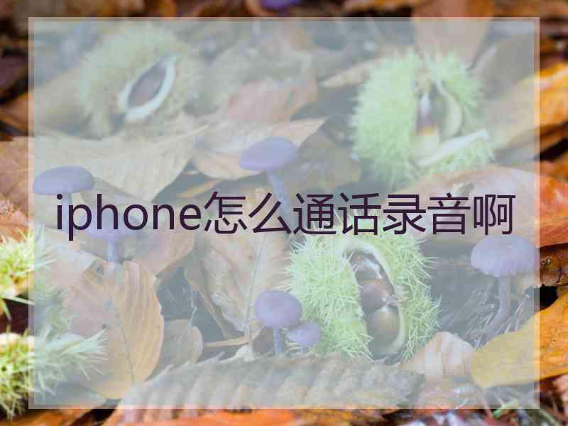 iphone怎么通话录音啊