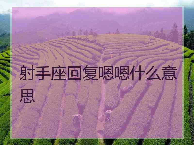 射手座回复嗯嗯什么意思