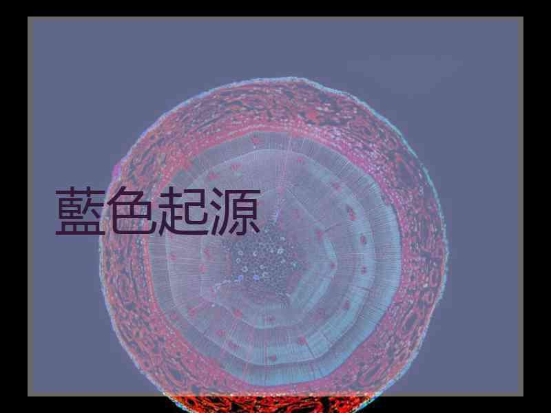 藍色起源