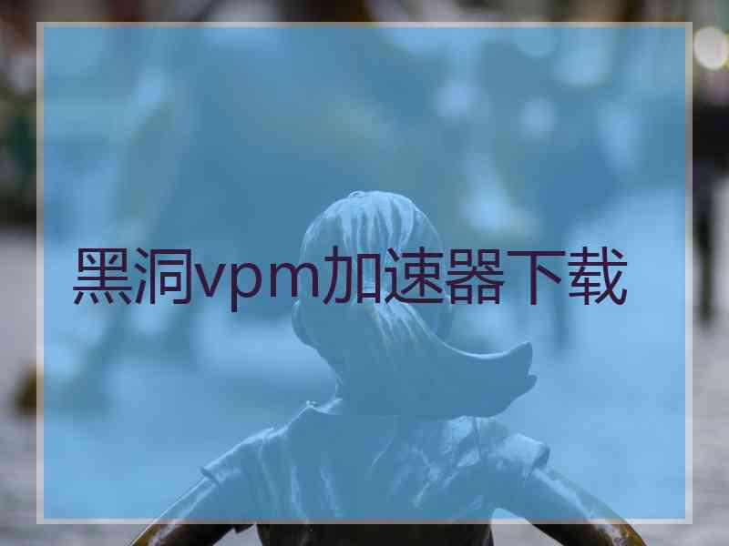 黑洞vpm加速器下载