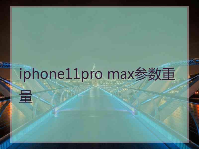 iphone11pro max参数重量