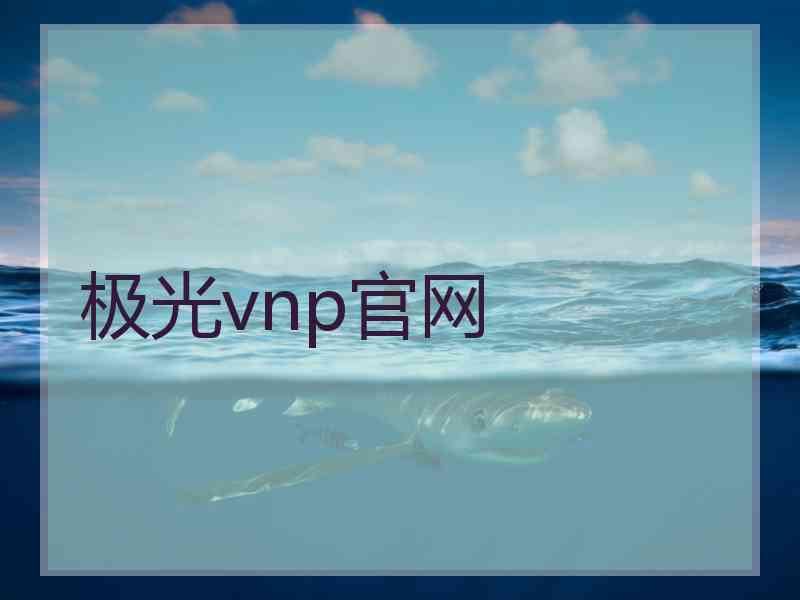 极光vnp官网