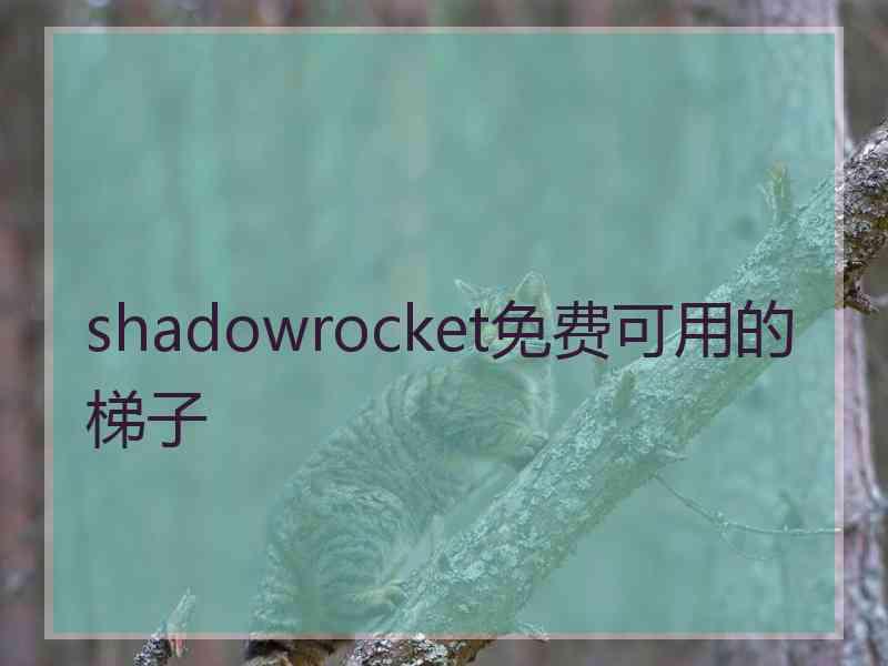 shadowrocket免费可用的梯子