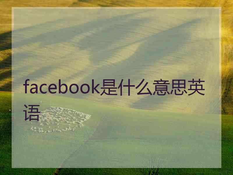 facebook是什么意思英语