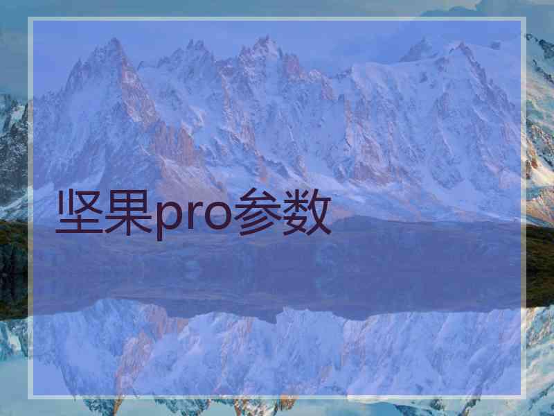 坚果pro参数