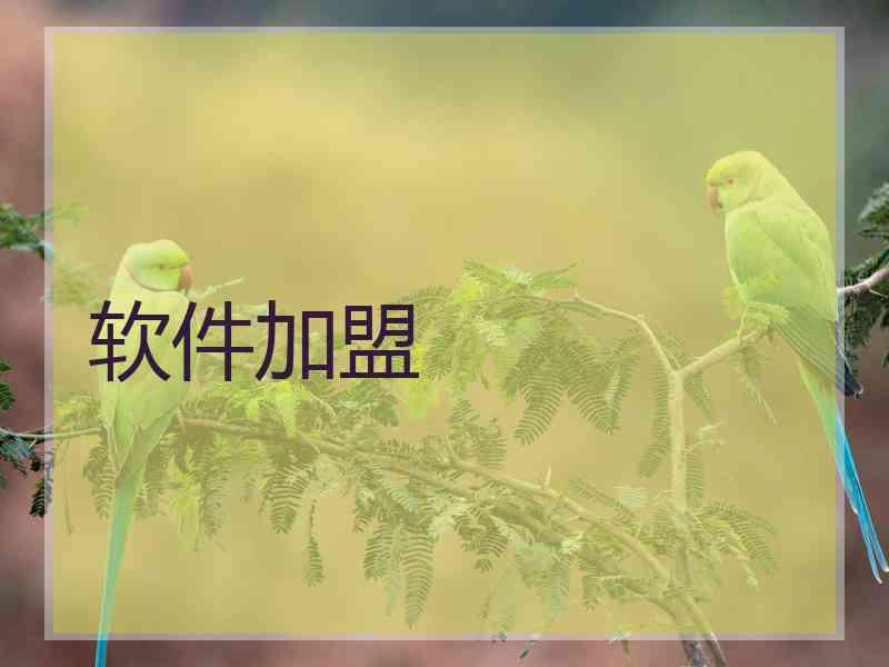 软件加盟